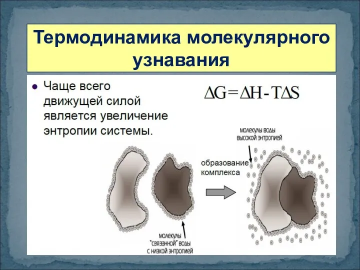 Термодинамика молекулярного узнавания