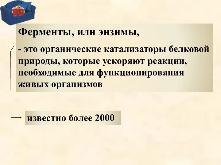 Ферменты, или энзимы, - это органические катализаторы белковой природы, которые ускоряют реакции,