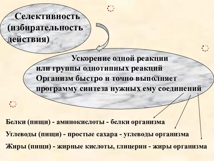 Белки (пищи) - аминокислоты - белки организма Углеводы (пищи) - простые сахара