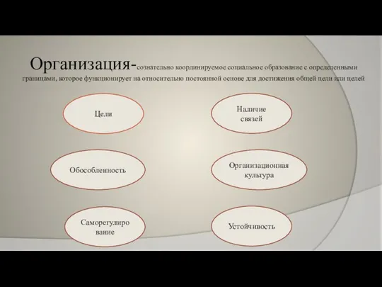 Организация-сознательно координируемое социальное образование с определенными границами, которое функционирует на относительно постоянной