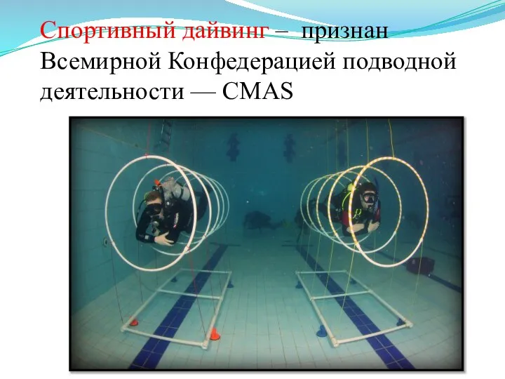 Спортивный дайвинг – признан Всемирной Конфедерацией подводной деятельности — CMAS
