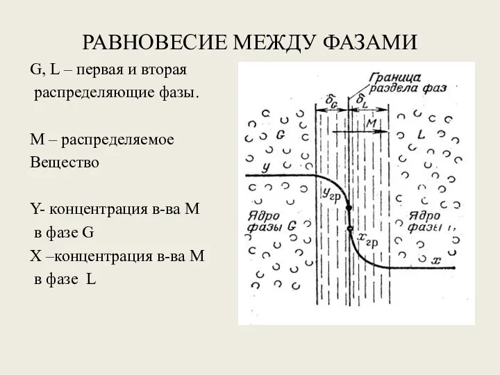 РАВНОВЕСИЕ МЕЖДУ ФАЗАМИ G, L – первая и вторая распределяющие фазы. М