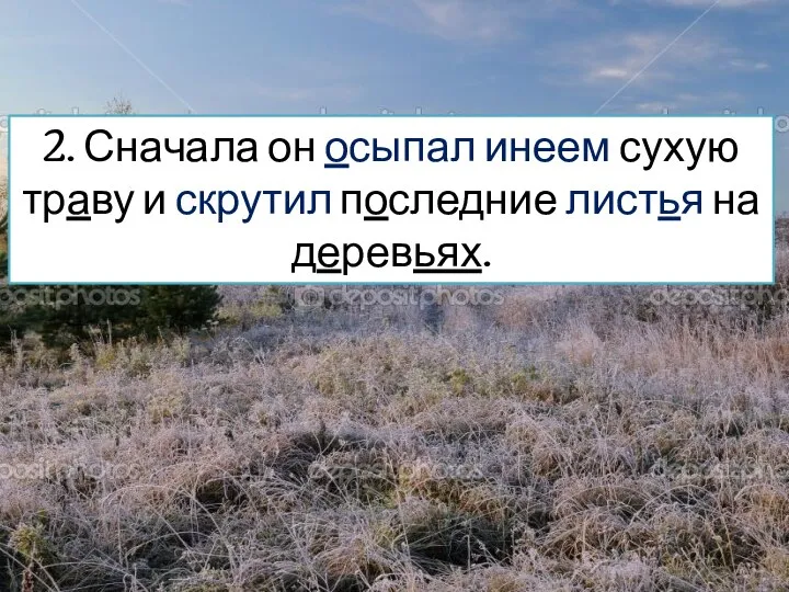 2. Сначала он осыпал инеем сухую траву и скрутил последние листья на деревьях.