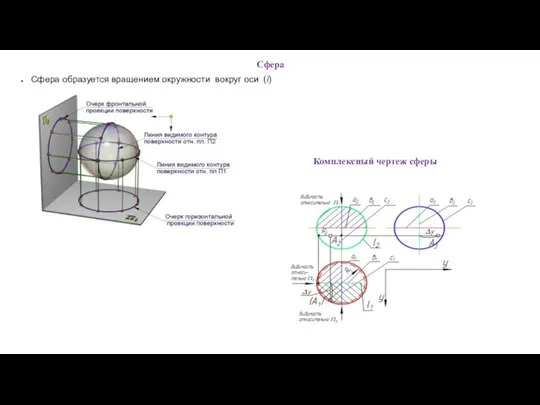 Сфера Сфера образуется вращением окружности вокруг оси (i) Комплексный чертеж сферы