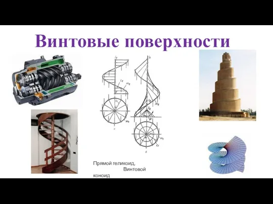 Винтовые поверхности Прямой геликоид, Винтовой коноид