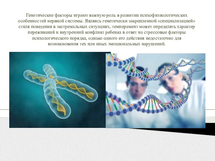 Генетические факторы играют важную роль в развитии психофизиологических особенностей нервной системы. Являясь