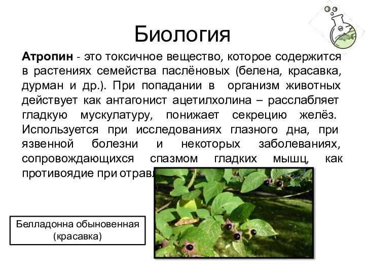 Биология Атропин - это токсичное вещество, которое содержится в растениях семейства паслёновых