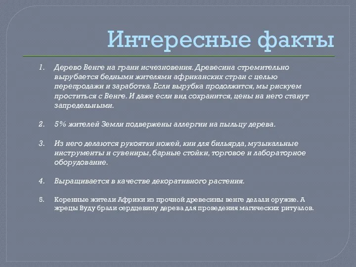 Интересные факты Дерево Венге на грани исчезновения. Древесина стремительно вырубается бедными жителями