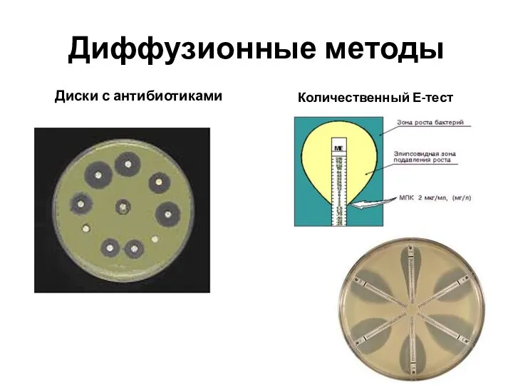 Диффузионные методы Диски с антибиотиками Количественный Е-тест