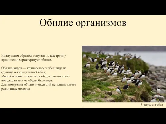 Обилие организмов Наилучшим образом популяцию как группу организмов характеризует обилие. Обилие видов