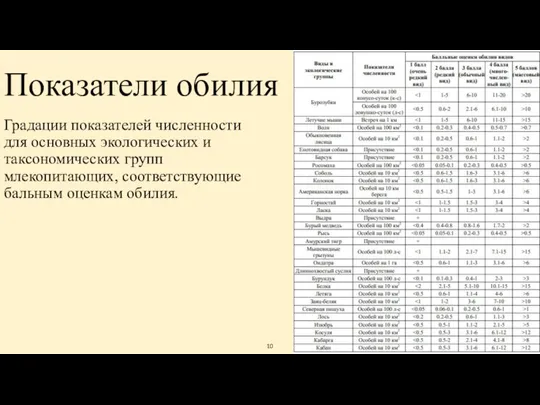 Показатели обилия Градации показателей численности для основных экологических и таксономических групп млекопитающих, соответствующие бальным оценкам обилия.