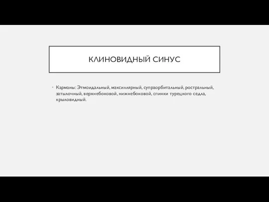 КЛИНОВИДНЫЙ СИНУС Карманы: Этмоидальный, максиллярный, супраорбитальный, ростральный, затылочный, верхнебоковой, нижнебоковой, спинки турецкого седла, крыловидный.