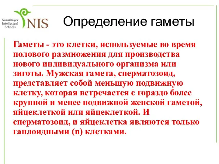 Определение гаметы Гаметы - это клетки, используемые во время полового размножения для