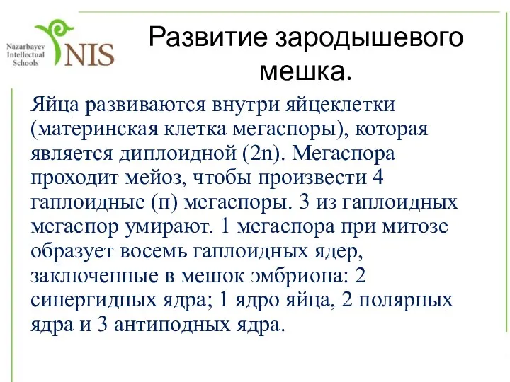 Развитие зародышевого мешка. Яйца развиваются внутри яйцеклетки (материнская клетка мегаспоры), которая является