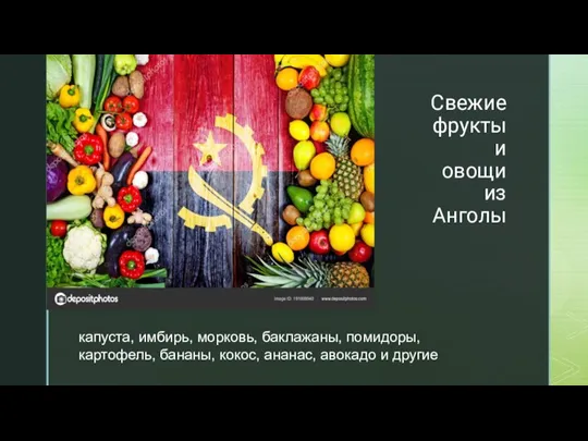 Свежие фрукты и овощи из Анголы капуста, имбирь, морковь, баклажаны, помидоры, картофель,