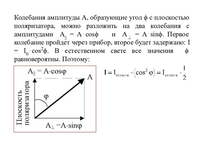 Колебания амплитуды А, образующие угол ϕ с плоскостью поляризатора, можно разложить на