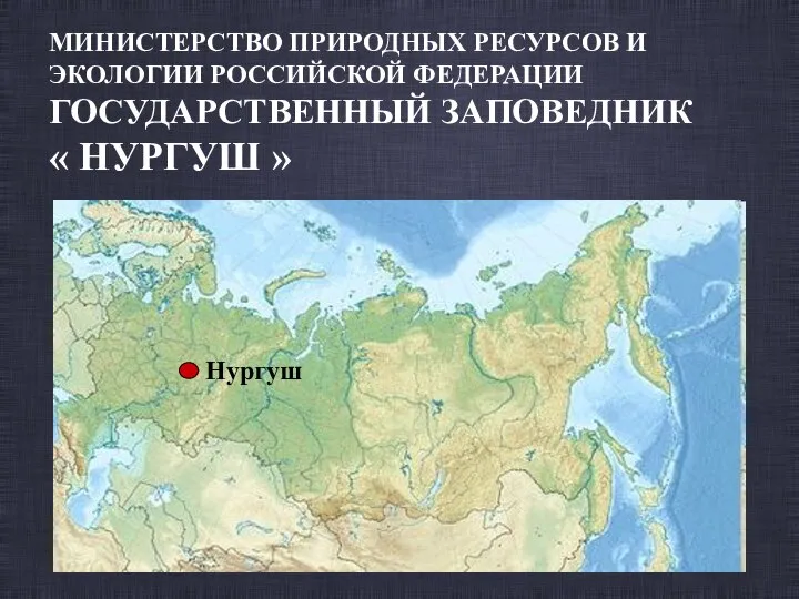 МИНИСТЕРСТВО ПРИРОДНЫХ РЕСУРСОВ И ЭКОЛОГИИ РОССИЙСКОЙ ФЕДЕРАЦИИ ГОСУДАРСТВЕННЫЙ ЗАПОВЕДНИК « НУРГУШ » Нургуш