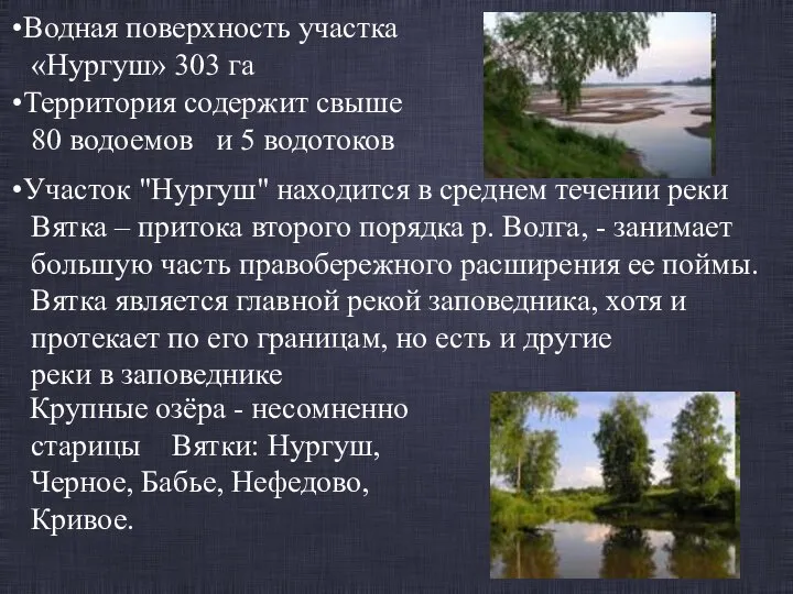 Водная поверхность участка «Нургуш» 303 га Территория содержит свыше 80 водоемов и