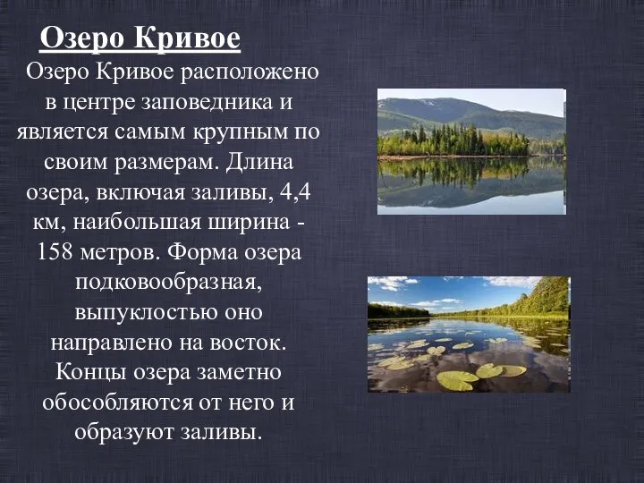 Озеро Кривое Озеро Кривое расположено в центре заповедника и является самым крупным