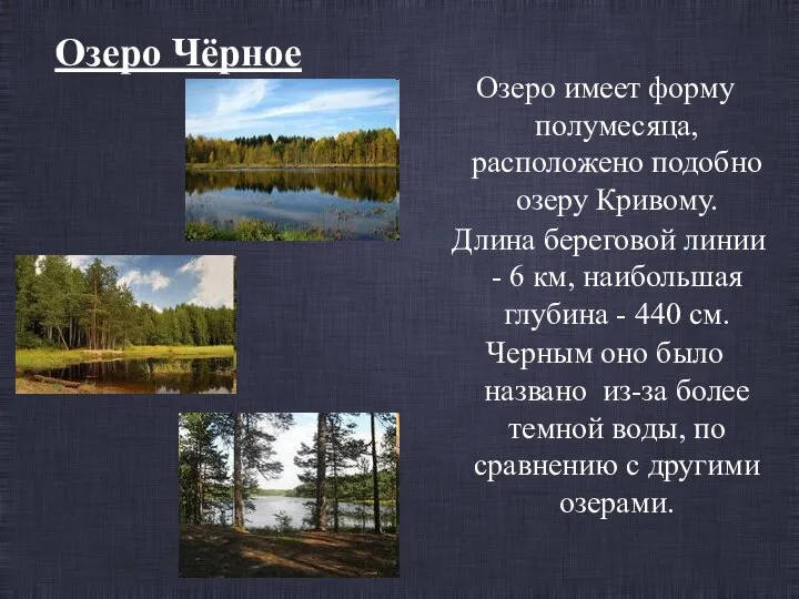 Озеро Чёрное Озеро имеет форму полумесяца, расположено подобно озеру Кривому. Длина береговой