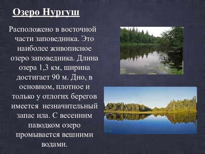 Озеро Нургуш Расположено в восточной части заповедника. Это наиболее живописное озеро заповедника.