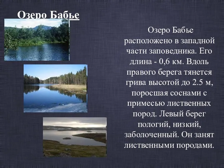 Озеро Бабье Озеро Бабье расположено в западной части заповедника. Его длина -