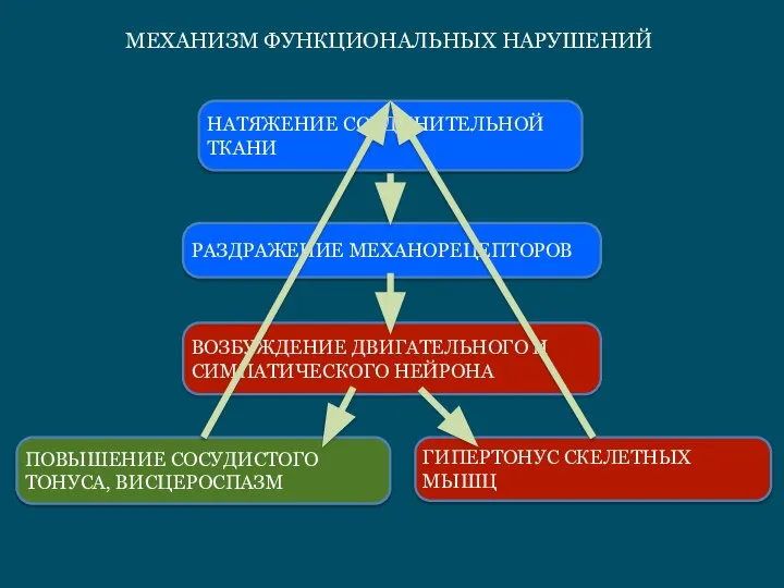 НАТЯЖЕНИЕ СОЕДИНИТЕЛЬНОЙ ТКАНИ РАЗДРАЖЕНИЕ МЕХАНОРЕЦЕПТОРОВ ГИПЕРТОНУС СКЕЛЕТНЫХ МЫШЦ ПОВЫШЕНИЕ СОСУДИСТОГО ТОНУСА, ВИСЦЕРОСПАЗМ