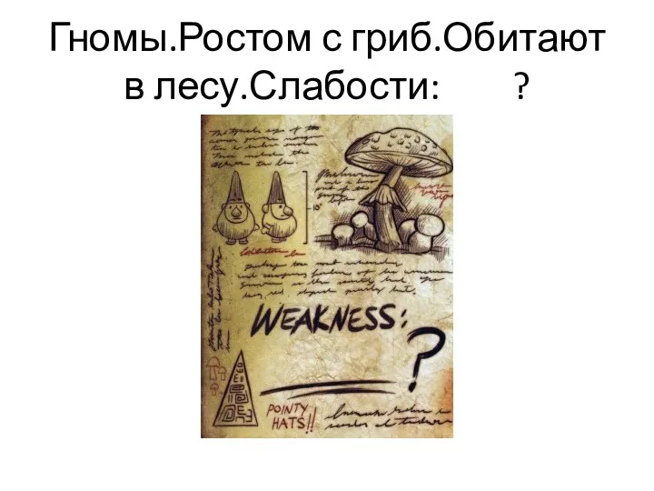 Гномы.Ростом с гриб.Обитают в лесу.Слабости: ?