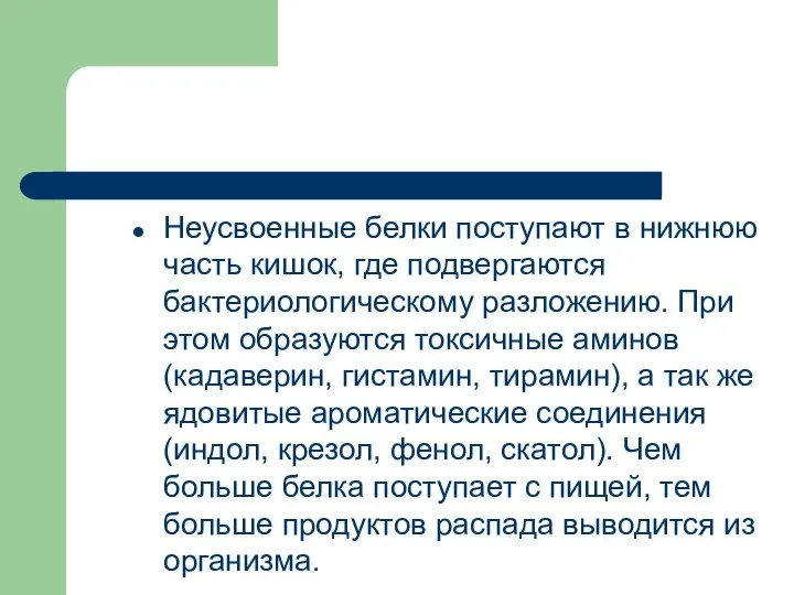 Неусвоенные белки поступают в нижнюю часть кишок, где подвергаются бактериологическому разложению. При