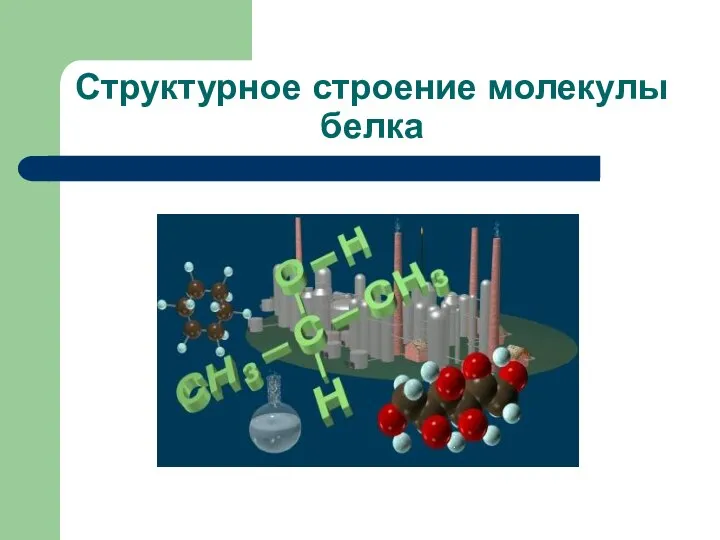 Структурное строение молекулы белка