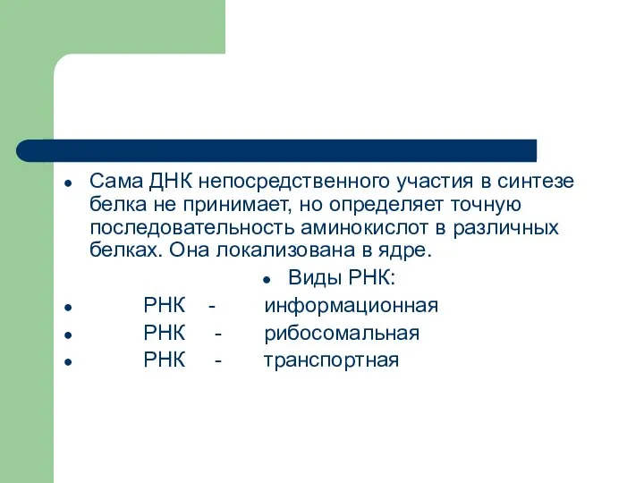 Сама ДНК непосредственного участия в синтезе белка не принимает, но определяет точную