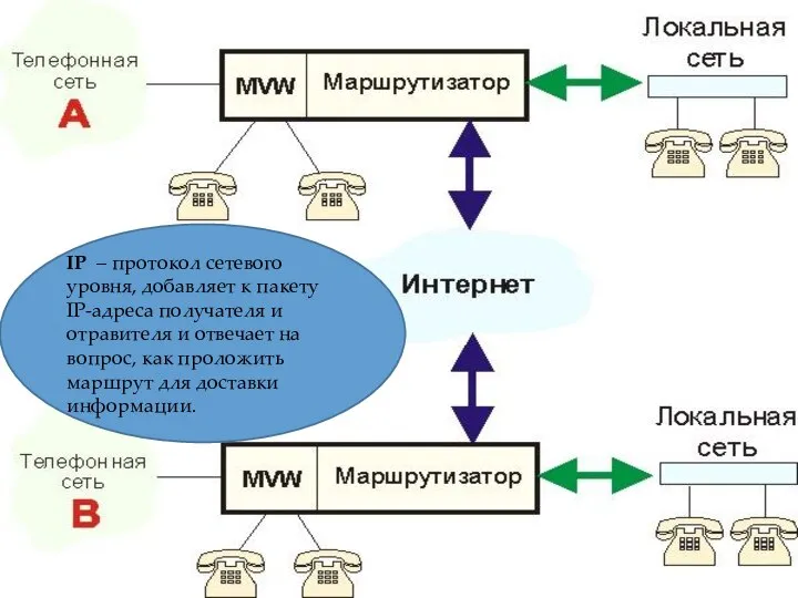 IP – протокол сетевого уровня, добавляет к пакету IP-адреса получателя и отравителя