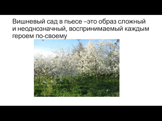 Вишневый сад в пьесе –это образ сложный и неоднозначный, воспринимаемый каждым героем по-своему