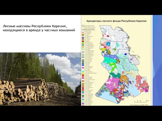 Лесные массивы Республики Карелия, находящиеся в аренде у частных компаний