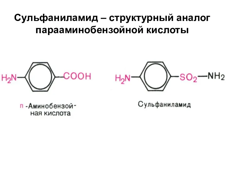 Сульфаниламид – структурный аналог парааминобензойной кислоты