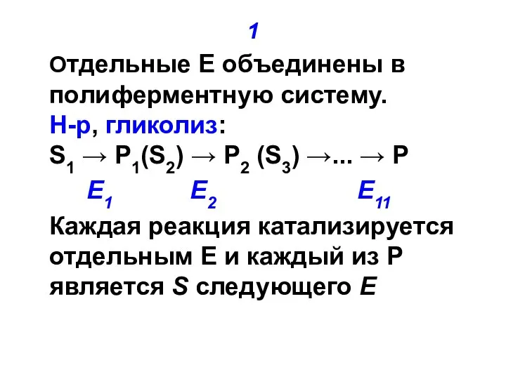 1 Отдельные Е объединены в полиферментную систему. Н-р, гликолиз: S1 → P1(S2)