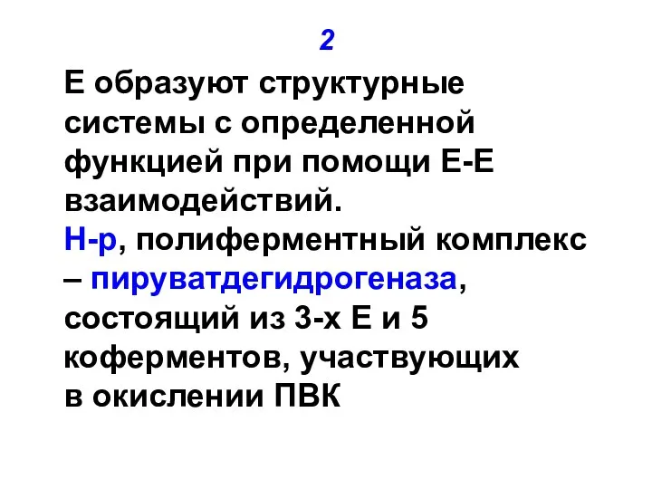 2 Е образуют структурные системы с определенной функцией при помощи Е-Е взаимодействий.