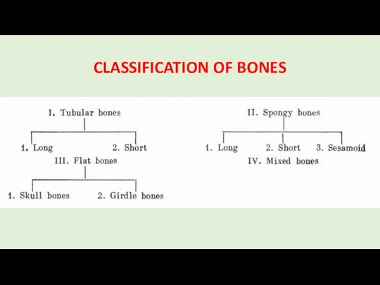 CLASSIFICATION OF BONES