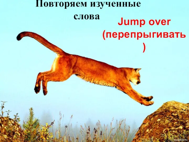 Jump over (перепрыгивать) Повторяем изученные слова