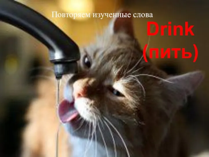 Drink (пить) Повторяем изученные слова