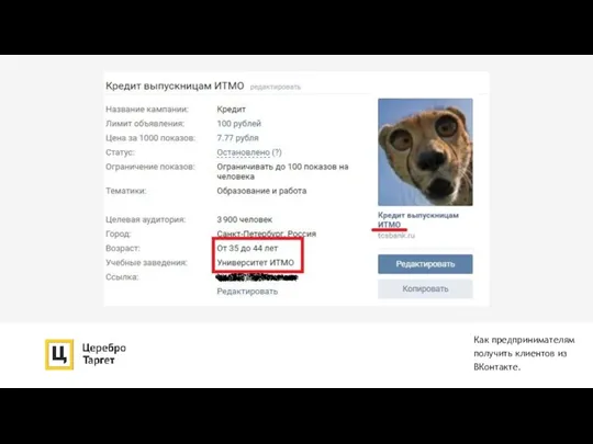 Как предпринимателям получить клиентов из ВКонтакте.