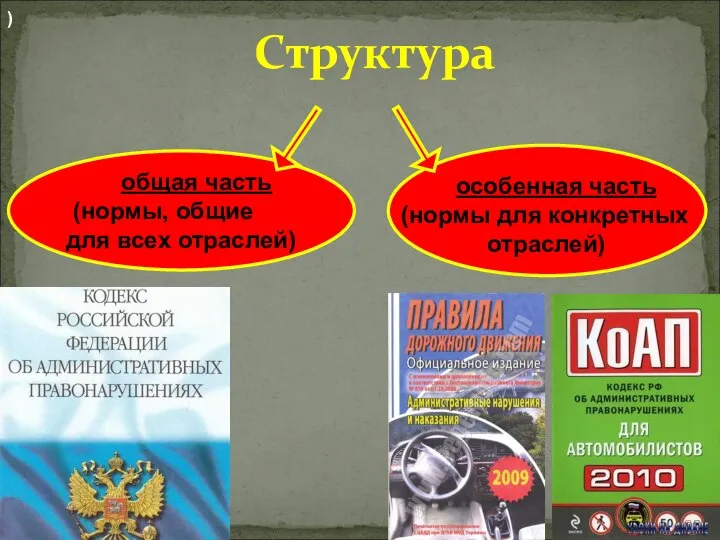 Структура общая часть (нормы, общие для всех отраслей) ) особенная часть (нормы для конкретных отраслей)