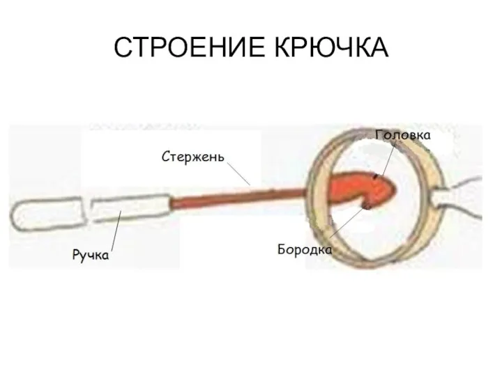 СТРОЕНИЕ КРЮЧКА