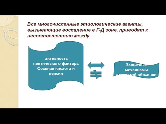 Все многочисленные этиологические агенты, вызывающие воспаление в Г-Д зоне, приводят к несоответствию