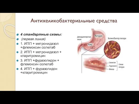 Антихеликобактериальные средства 4 стандартные схемы: (первая линия) 1. ИПП + метронидазол +флемоксин