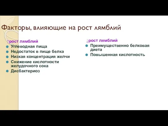 Факторы, влияющие на рост лямблий ↑рост лямблий Углеводная пища Недостаток в пище