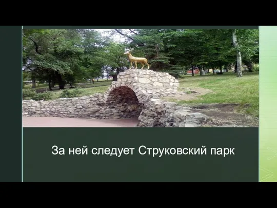 ◤ За ней следует Струковский парк
