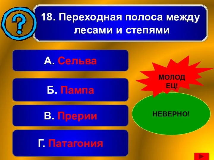 18. Переходная полоса между лесами и степями Б. Пампа А. Сельва В.