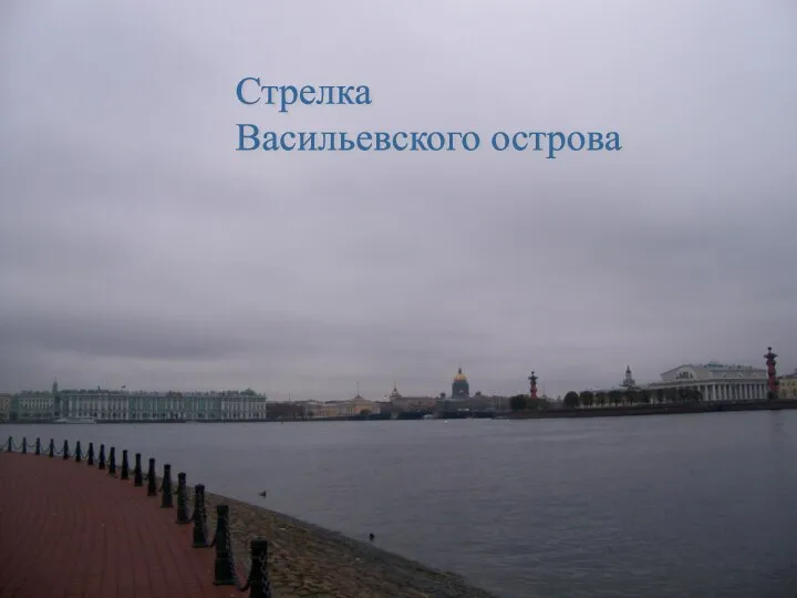 Стрелка Васильевского острова