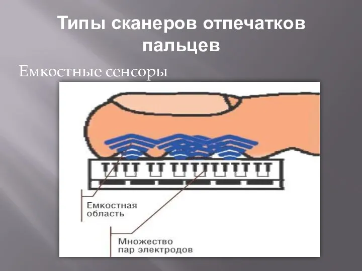 Типы сканеров отпечатков пальцев Емкостные сенсоры